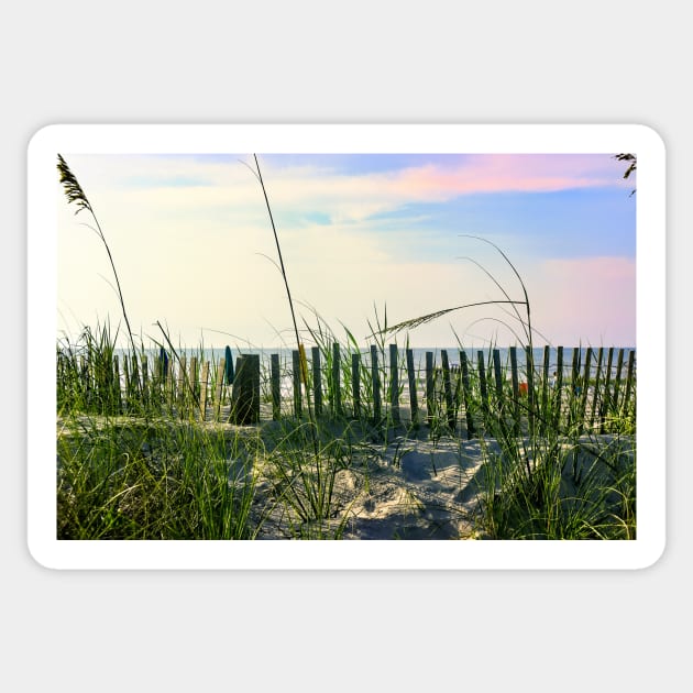 Coastal view from the dunes Sticker by Carlosr1946